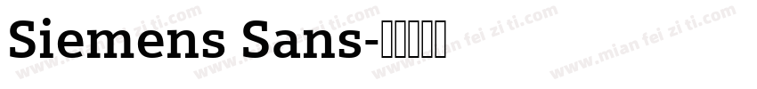 Siemens Sans字体转换